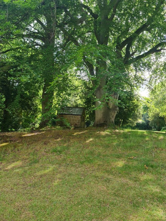 Guest house Rainworth