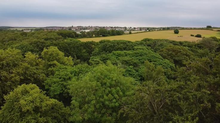 Rainworth Гостевой дом Blidworth